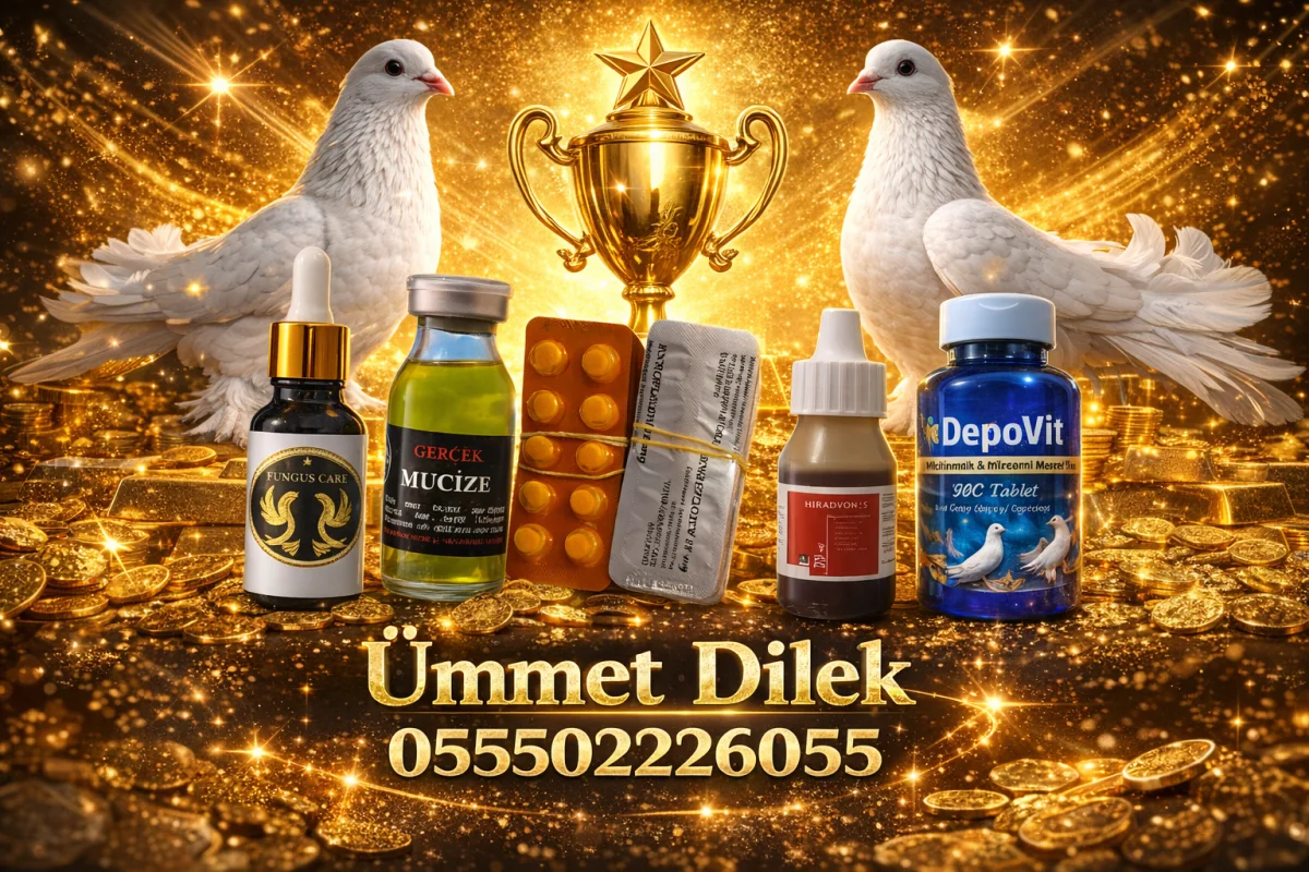 Güvercin kapak görseli