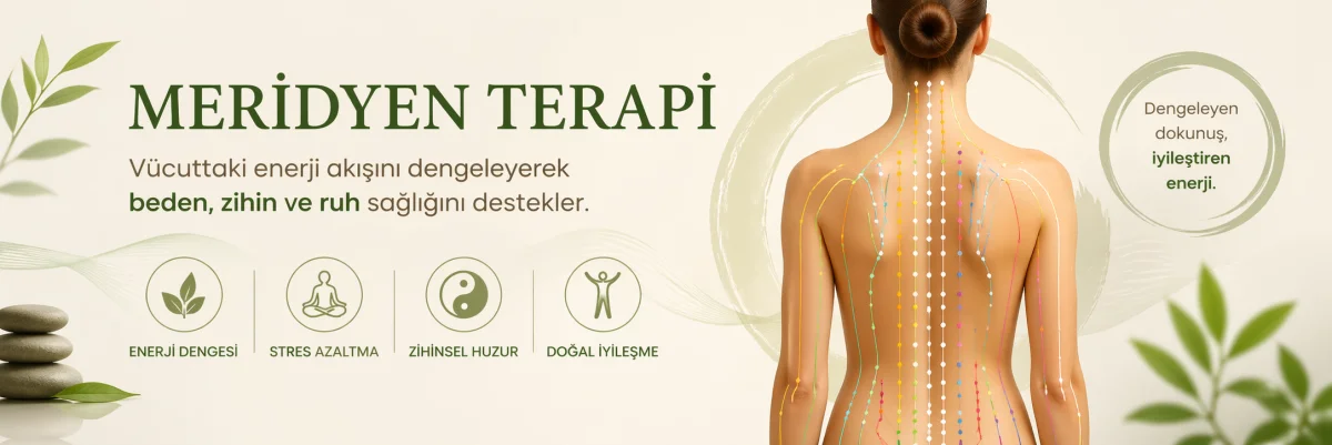 Meridyen Terapi Ankara kapak görseli