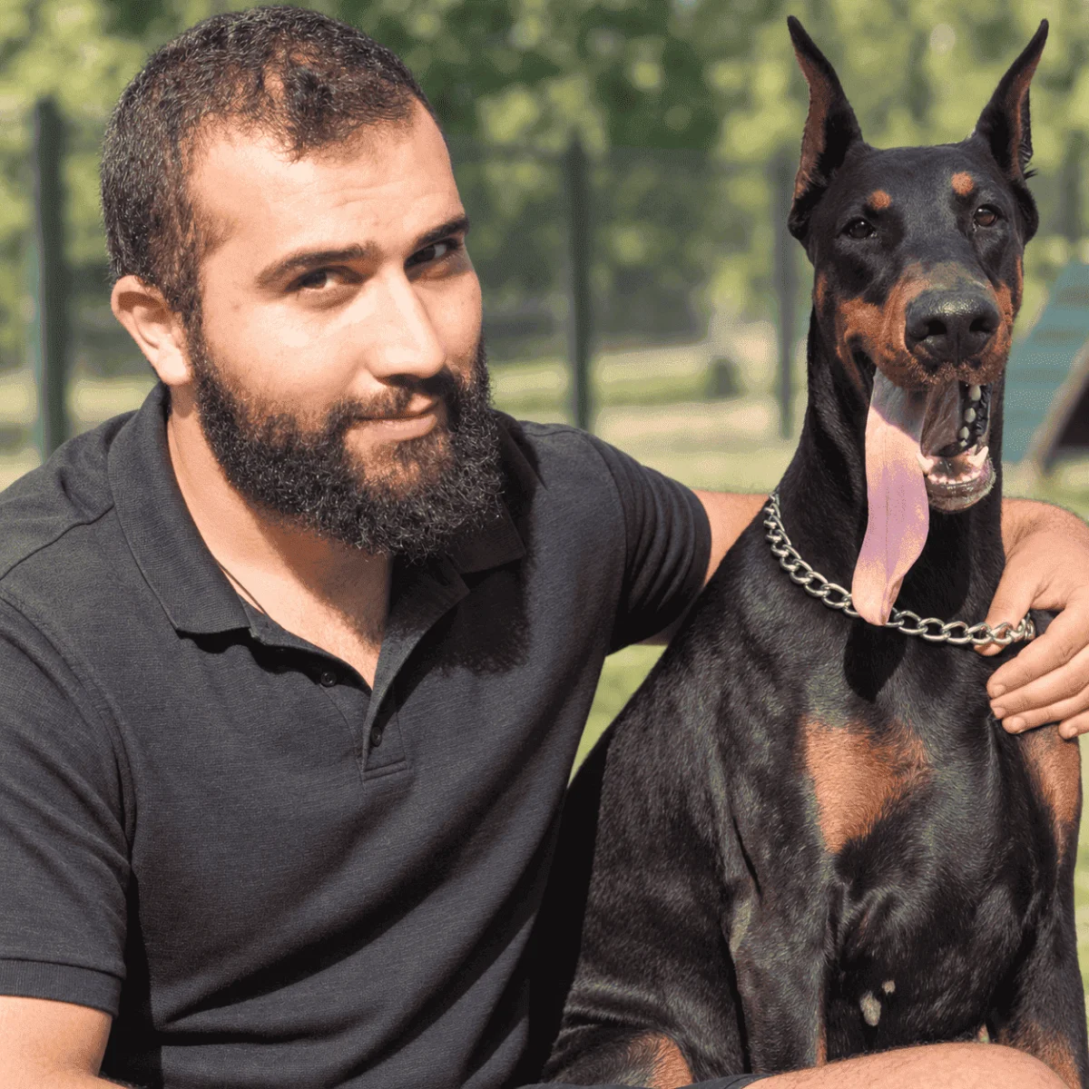 Murat GÜNGÖR Köpek Eğitim Merkezi ve Pet Oteli İstanbul kapak görseli